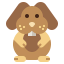 Rabbit icon 64x64
