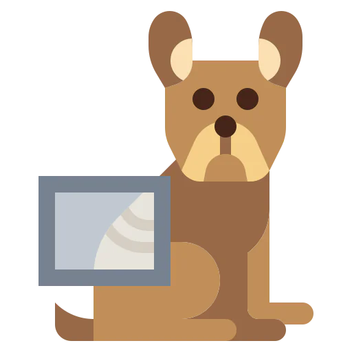X ray icon