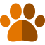 Paw icon 64x64
