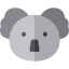 Koala icon 64x64