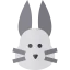 Bunny icon 64x64