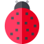 Ladybug icon 64x64
