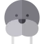 Seal icon 64x64