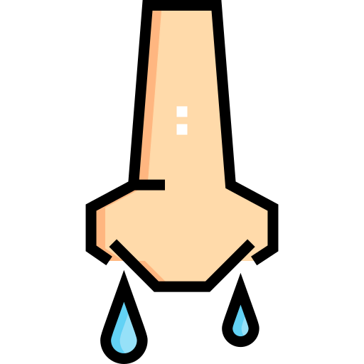 Nose icon