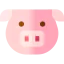 Pig icon 64x64