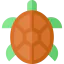 Turtle icon 64x64