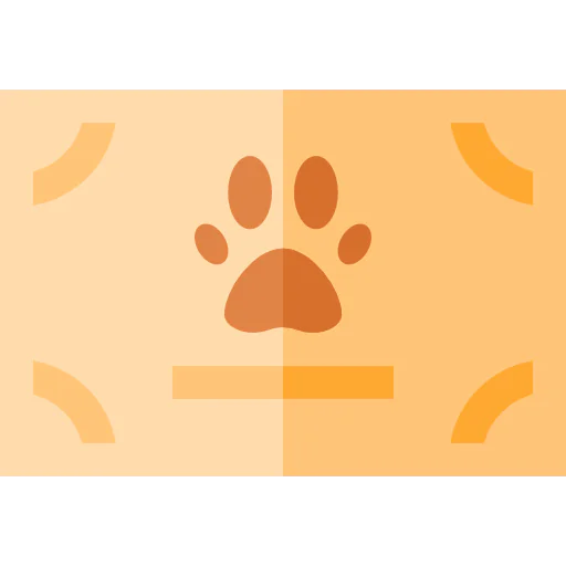 Certificate icon