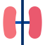 Lung icon 64x64