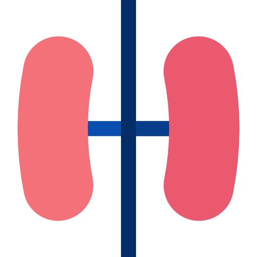 Lung icon