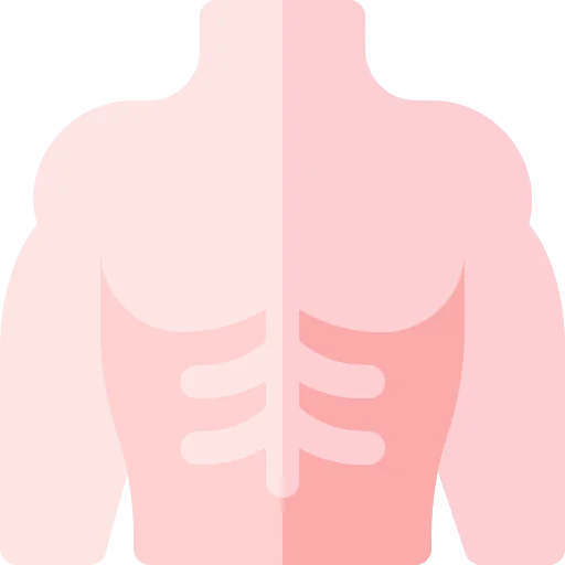 Body icon