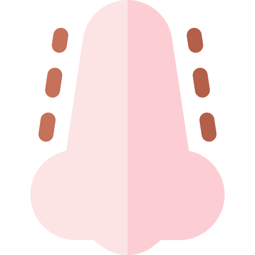 Nose icon
