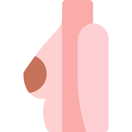 Plastic surgery icon