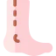 Leg icon 64x64