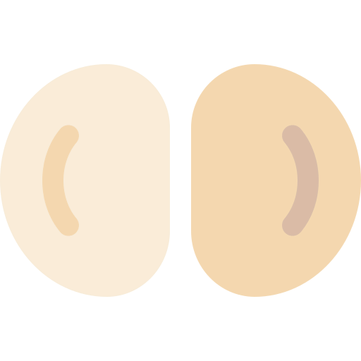Silicone icon