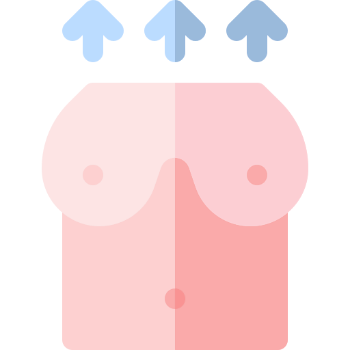 Boobs icon
