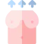 Boobs icon 64x64