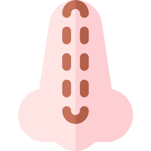 Nose icon