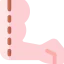 Arm icon 64x64