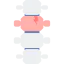 Anatomy icon 64x64