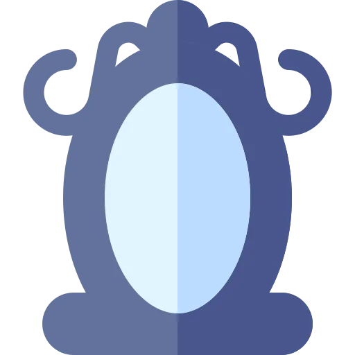 Mirror icon