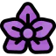 Flower icon 64x64