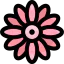 Gerbera icon 64x64