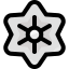 Flower icon 64x64