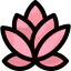 Lotus icon 64x64