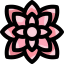 Dahlia icon 64x64