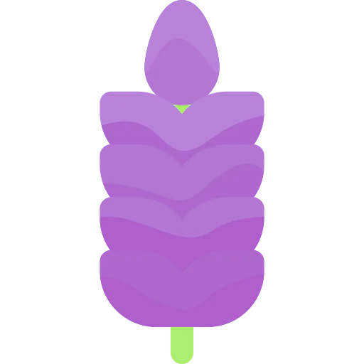 Lavender icon