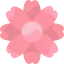 Flower icon 64x64