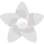 Jasmine icon 64x64