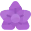 Flower icon 64x64