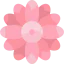 Gerbera icon 64x64