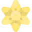 Daffodil icon 64x64