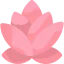 Lotus icon 64x64