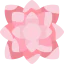 Dahlia icon 64x64