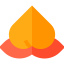 Fruit icon 64x64