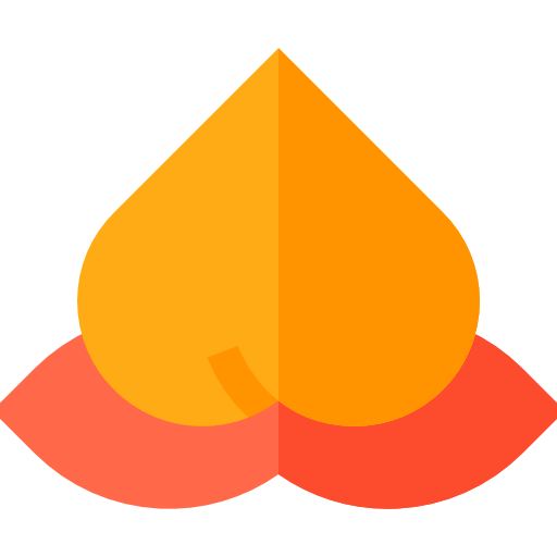 Fruit icon