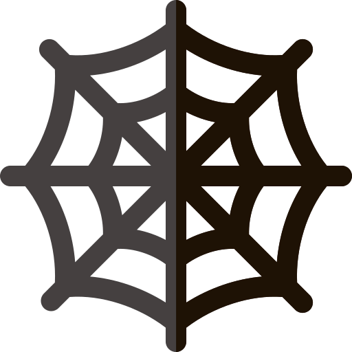 Spider web icon