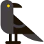 Raven icon 64x64