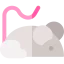 Rat icon 64x64