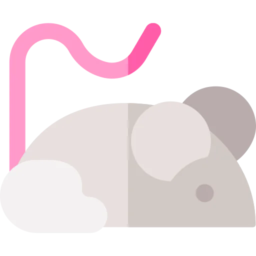 Rat icon