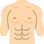 Torso icon 64x64