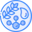 Diet icon 64x64