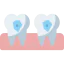 Caries icon 64x64