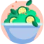 Salad icon 64x64