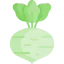 Kohlrabi icon 64x64
