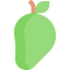 Mango icon 64x64