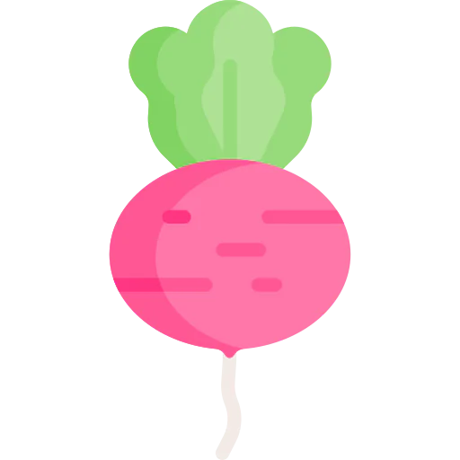 Radish icon